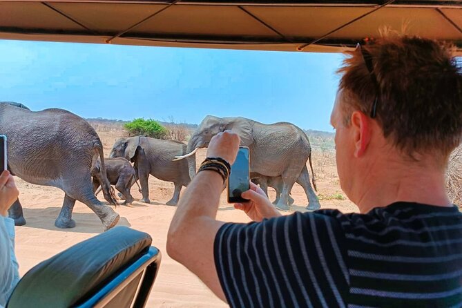 Safari in Victoria Falls and Zambezi National Park - The refreshment stop and high tea