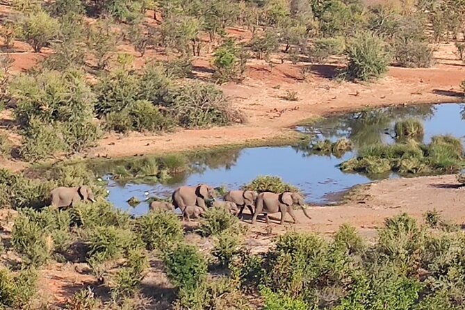 Safari in Victoria Falls and Zambezi National Park - Timing: early morning, mid-morning, or afternoon
