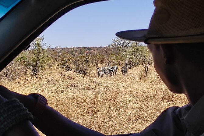 Safari in Victoria Falls and Zambezi National Park - Is $119 a fair price?