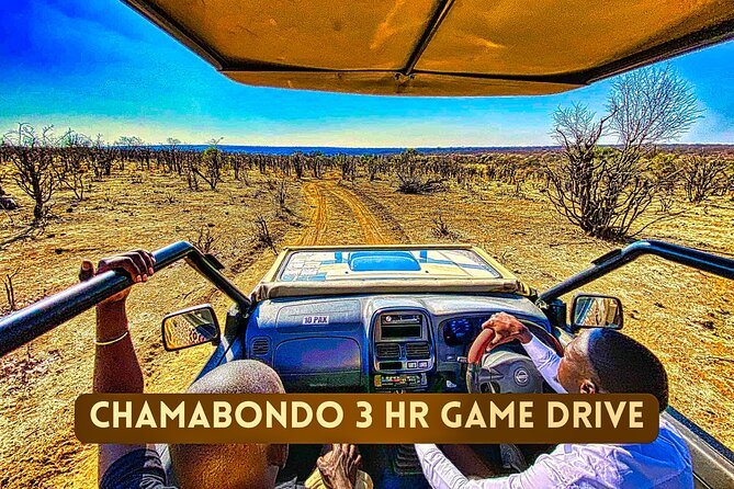 Safari in Victoria Falls and Zambezi National Park - Who will enjoy this safari most?