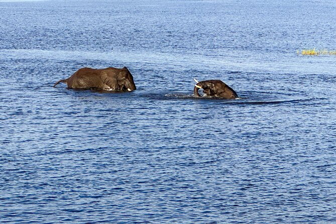 Shearwater River Song Luxury River Cruise - Pickup, group size, and practical planning