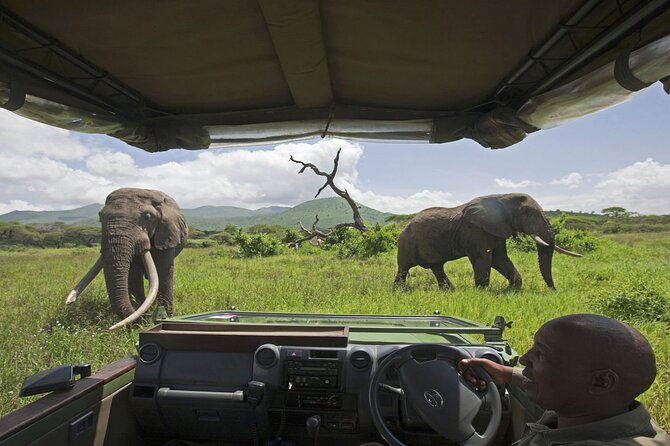 Small Group: Zambezi National Park Guided Game Drive - Who should book this game drive
