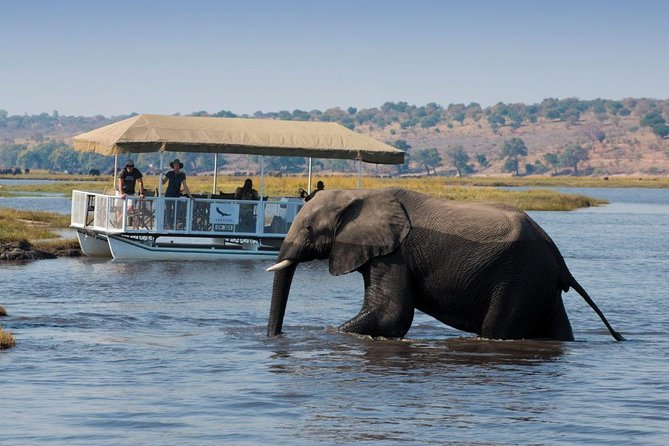 Standard Sunset Cruise - Key points to know before you book