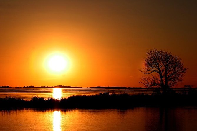 Standard Sunset Cruise - The wildlife you might see along the river
