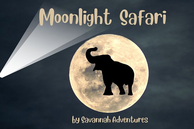 Stargazing and Moonlight Experience - Key points to know before you book