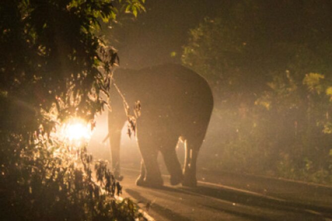 Stargazing and Moonlight Experience - Why a dark sky adds something special to Victoria Falls