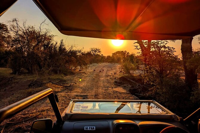 Stargazing and Moonlight Experience - The $99 price: fair for the right kind of evening