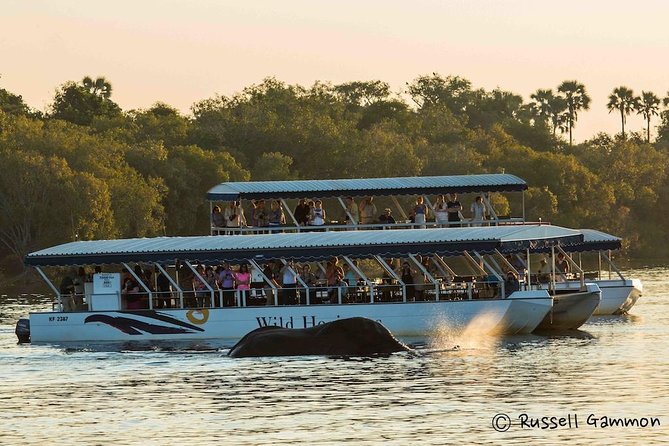 Sundowner Cruise on Zambezi River (Zimbabwe) - Key details before you book