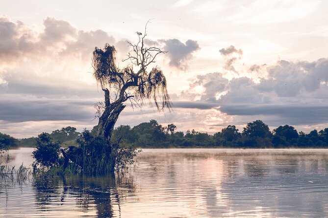Sunrise Cruise on the Zambezi River - Birdwatching gives the cruise extra depth
