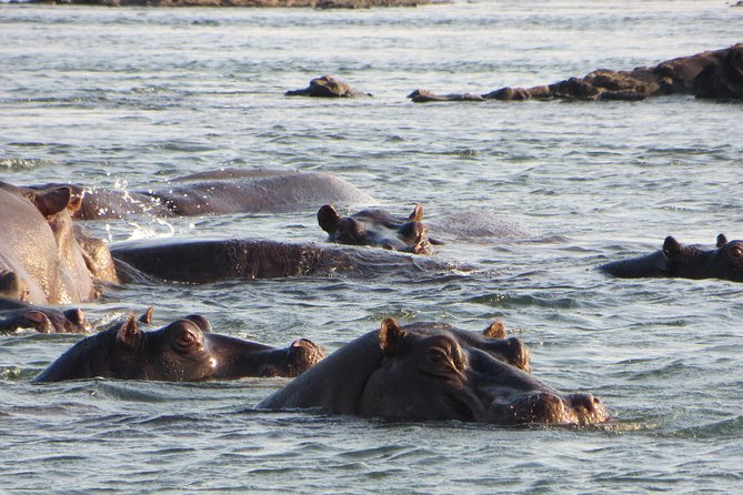 Sunset Cruise & Guided Falls Tour Combo - Timing, booking, and cancellation advice