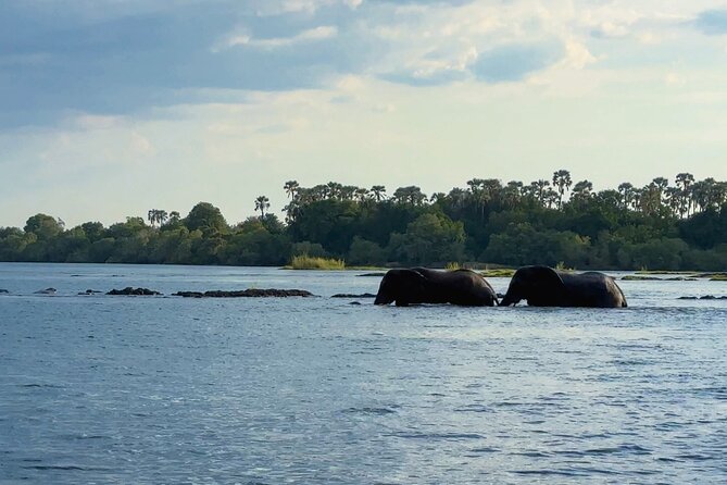 Sunset Cruises on the Zambezi River from Victoria Falls - Drinks and snacks, the part that affects the value