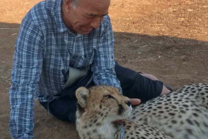 The Cheetah Experience - Hotel Pickup and the Drive Through Zambezi National Park
