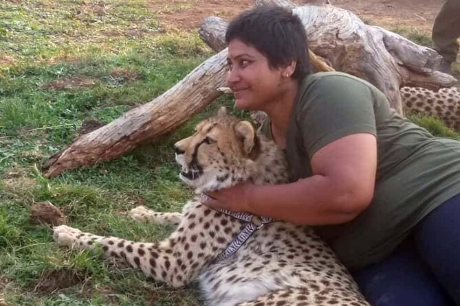 The Cheetah Experience - Meeting the Cheetahs in a Conservation Area