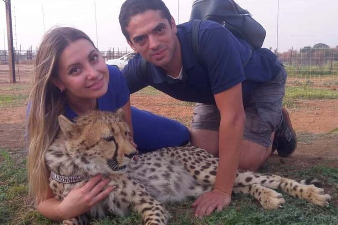 The Cheetah Experience - What the Guides Explain About Cheetah Behavior