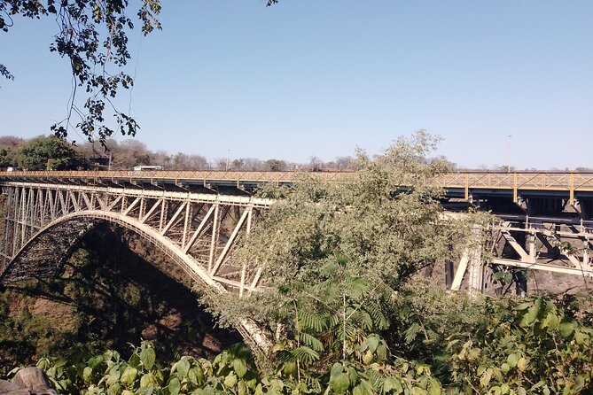 The Tram Bridge Tour in Victoria Falls - Why this tram ride is more than a transfer
