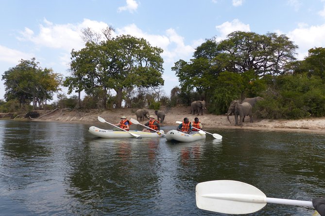 Upper Zambezi Canoeing - Key points before you book