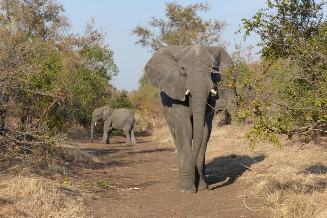 Upper Zambezi Canoeing - Safety, fitness, and the real level of adventure