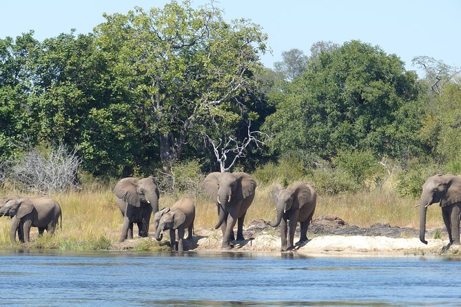 Upper Zambezi Canoeing - From Victoria Falls hotels to the park gate