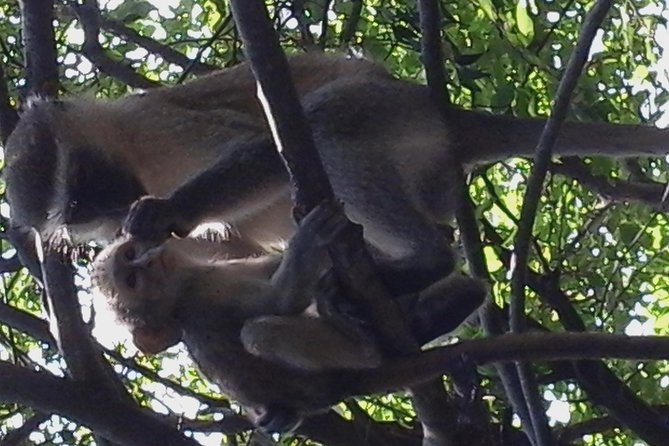 Victoria Falls And Chobe - Day 2: Victoria Falls deserves your full attention