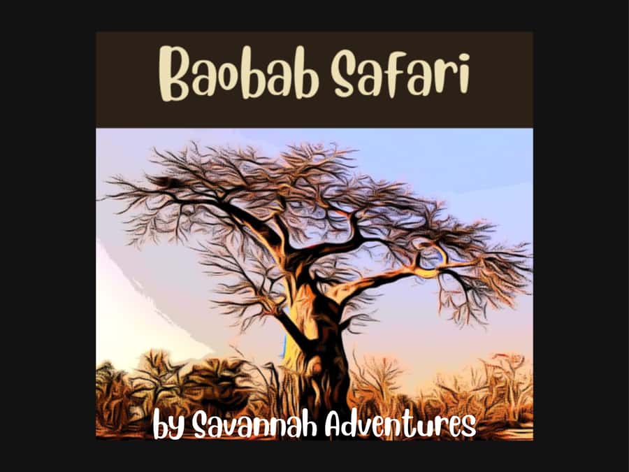 Victoria Falls: Baobab Safari - Sunrise and Mid Morning - Key points to know before booking