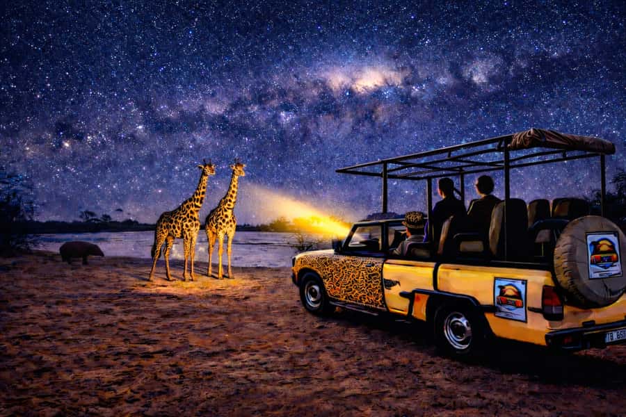 Victoria Falls: Bush Experience and Stargazing D-F-ES-GB - Key points to know before booking