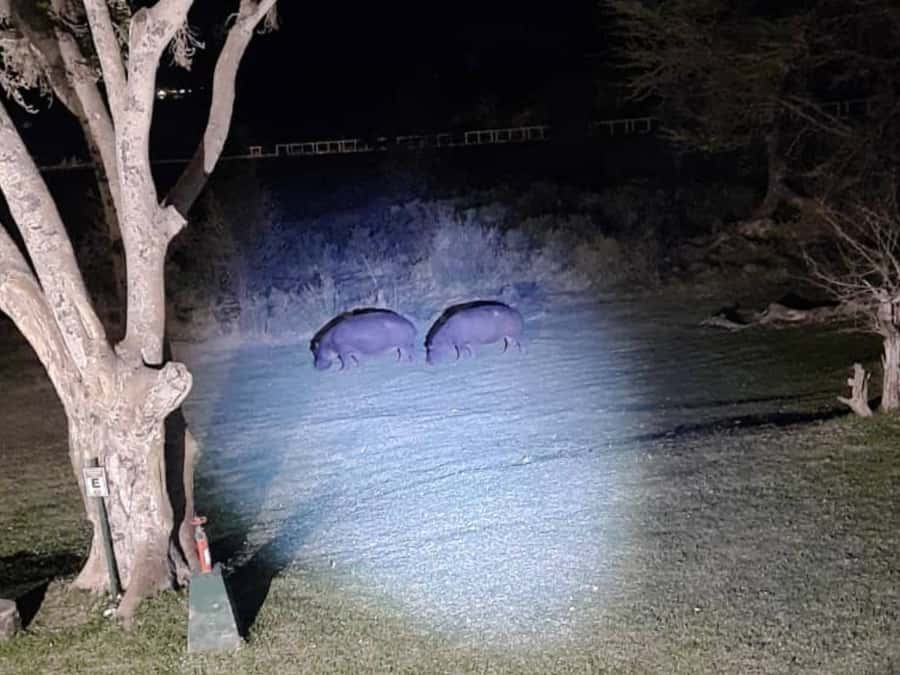 Victoria Falls: Bush Experience and Stargazing D-F-ES-GB - Who will enjoy this night adventure most
