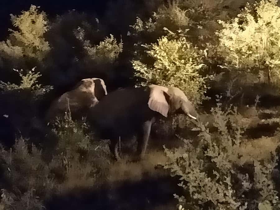 Victoria Falls: Bush Experience and Stargazing D-F-ES-GB - Should you book the Victoria Falls Bush Experience and Stargazing?