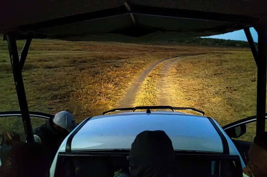 Victoria Falls: Bush Experience and Stargazing D-F-ES-GB - Leaving Victoria Falls for the bush after dark