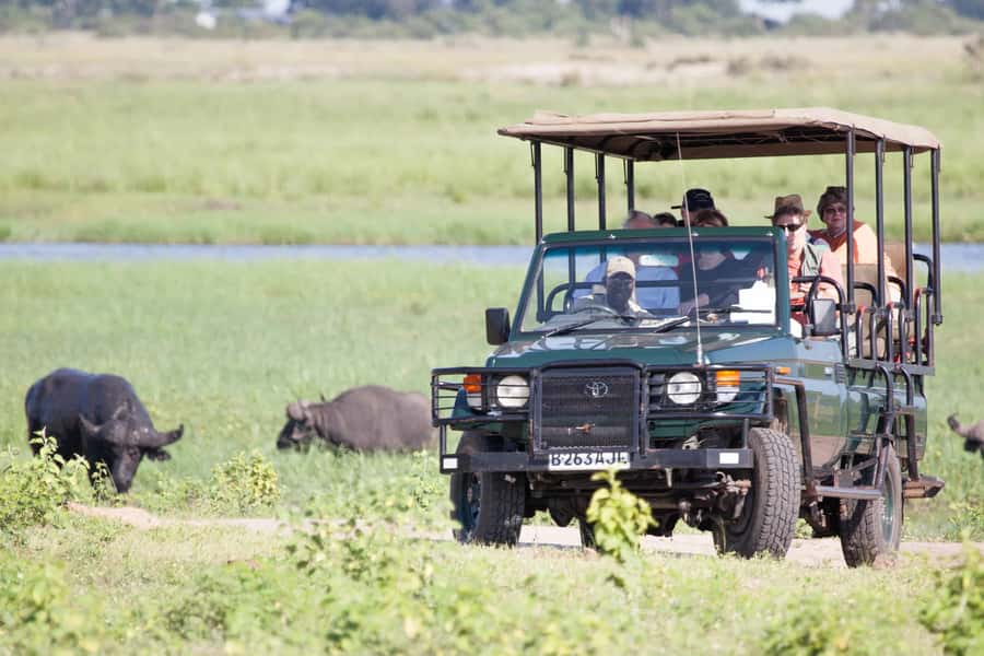 Victoria Falls: Chobe National Park Day Trip with Lunch - Key points to know before you book