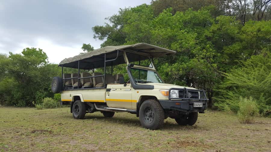 Victoria Falls: Chobe National Park Day Trip with Lunch - The lodge buffet between safari activities