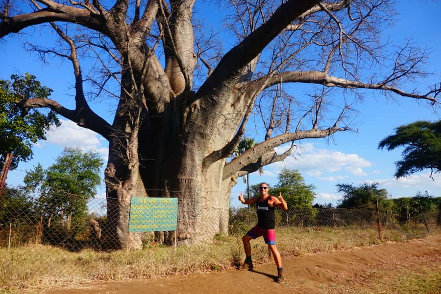 Victoria Falls: Cultural Tour with High Tea - The guides can shape the whole day