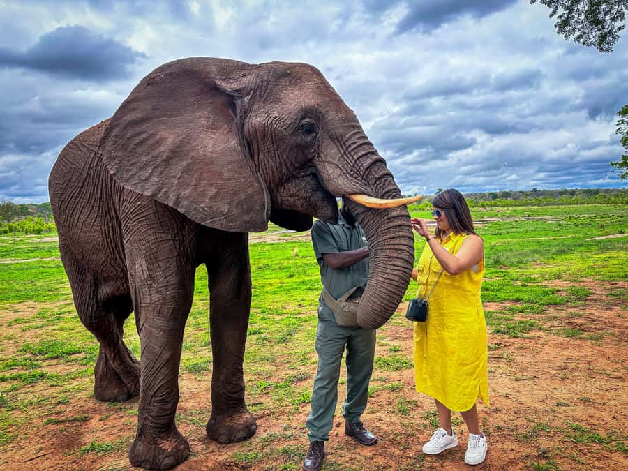 Victoria Falls: Elecrew Through The Eyes Of An Elephant - Why this elephant experience feels different