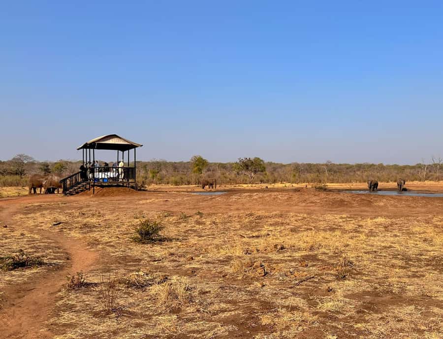 Victoria Falls: Elecrew Through The Eyes Of An Elephant - Who will enjoy this most?