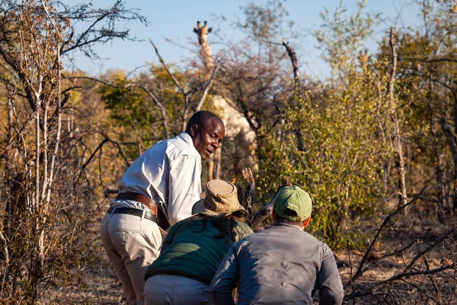 Victoria Falls: Game Walk in the Zambezi National Park - Key points to know before booking