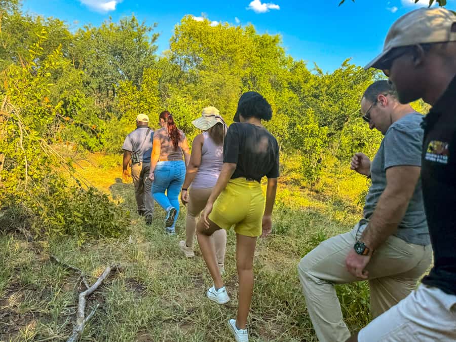 Victoria Falls: Game Walk in the Zambezi National Park - Two hours among tracks, trees, and open bush