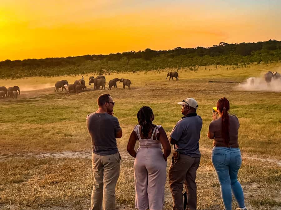 Victoria Falls: Game Walk in the Zambezi National Park - What you might see on foot