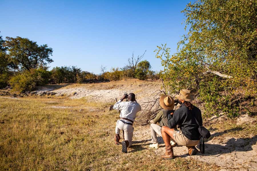 Victoria Falls: Game Walk in the Zambezi National Park - What the guide adds to the walk