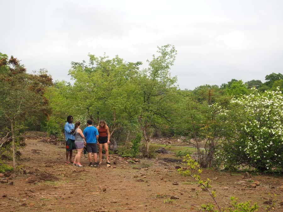 Victoria Falls Gorge Hike & Farm to Table Village Lunch - A farm meal at Mpala Guest & Adventure Farm