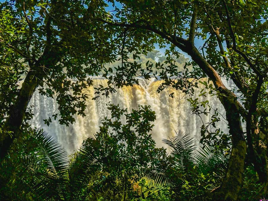 Victoria Falls: Guided Tour of the Victoria Falls - Pickup in Victoria Falls and the ride to the park