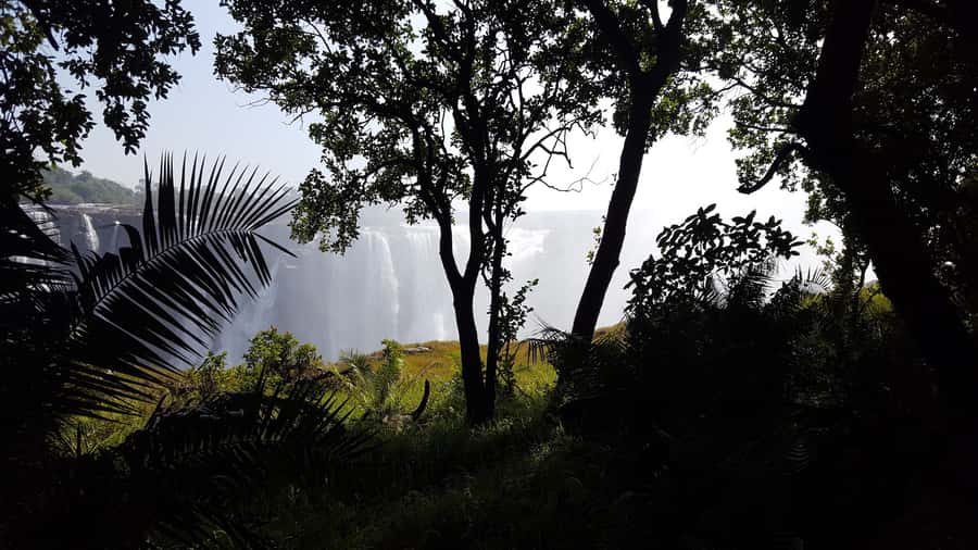 Victoria Falls: Guided Walking Tour - Starting with the rainforest and Devil’s Cataract