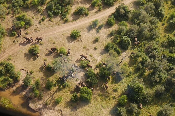 Victoria Falls Helicopter Tour - The 15-minute scenic flight over the falls