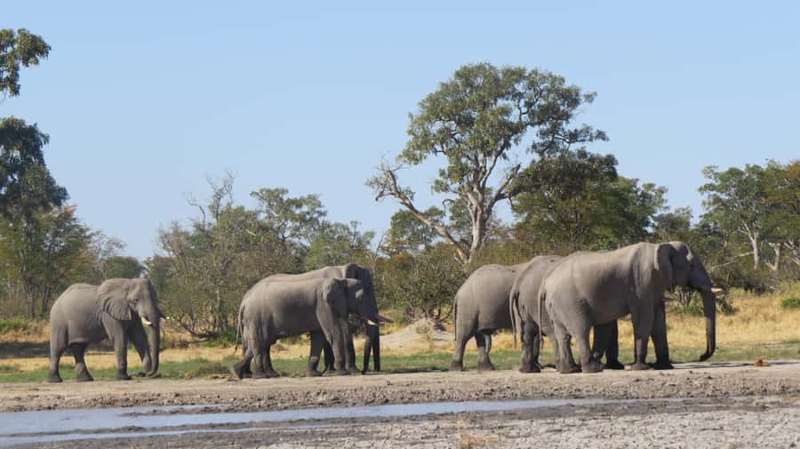 Victoria Falls: Hwange National Park Full-Day Safari - A short safety briefing before the open vehicle