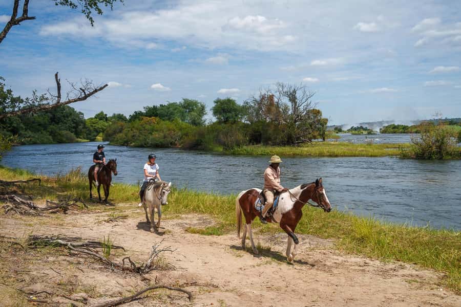Victoria Falls National Park: Horseback Safari - Key points before you saddle up