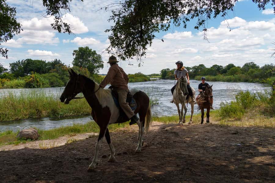 Victoria Falls National Park: Horseback Safari - Riding beside the Zambezi near Victoria Falls