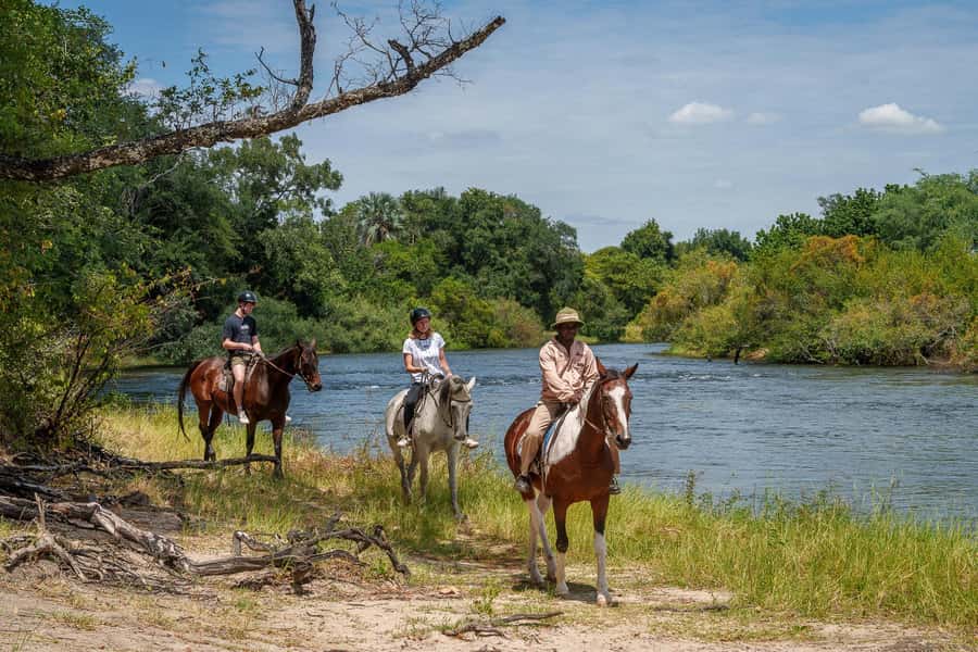 Victoria Falls National Park: Horseback Safari - Why elephant, buffalo, and rhino sightings matter