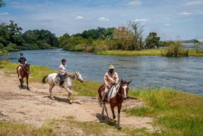 Victoria Falls National Park: Horseback Safari