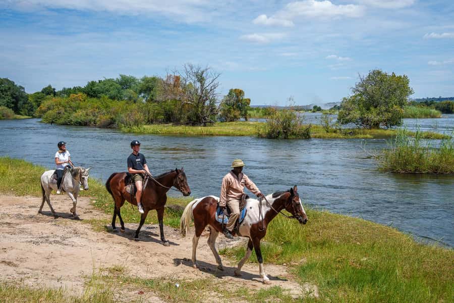 Victoria Falls National Park: Horseback Safari - How this compares with a jeep safari