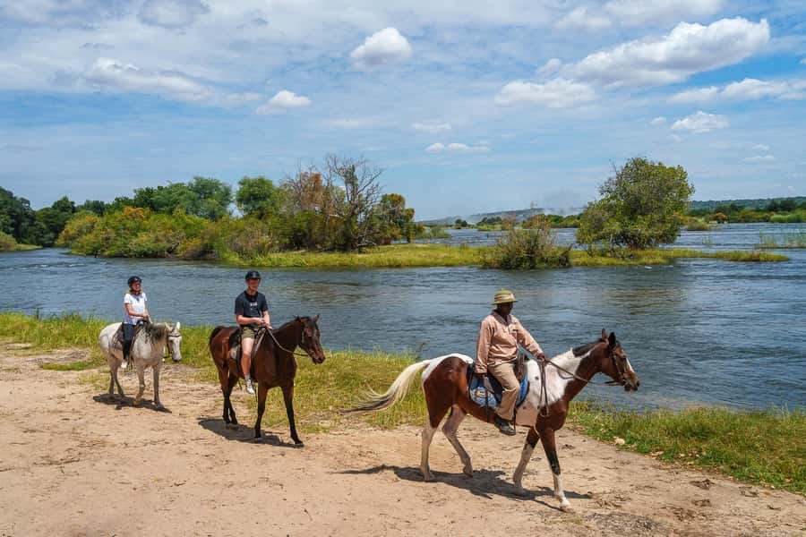 Victoria Falls National Park: Horseback Safari - Who should book this safari