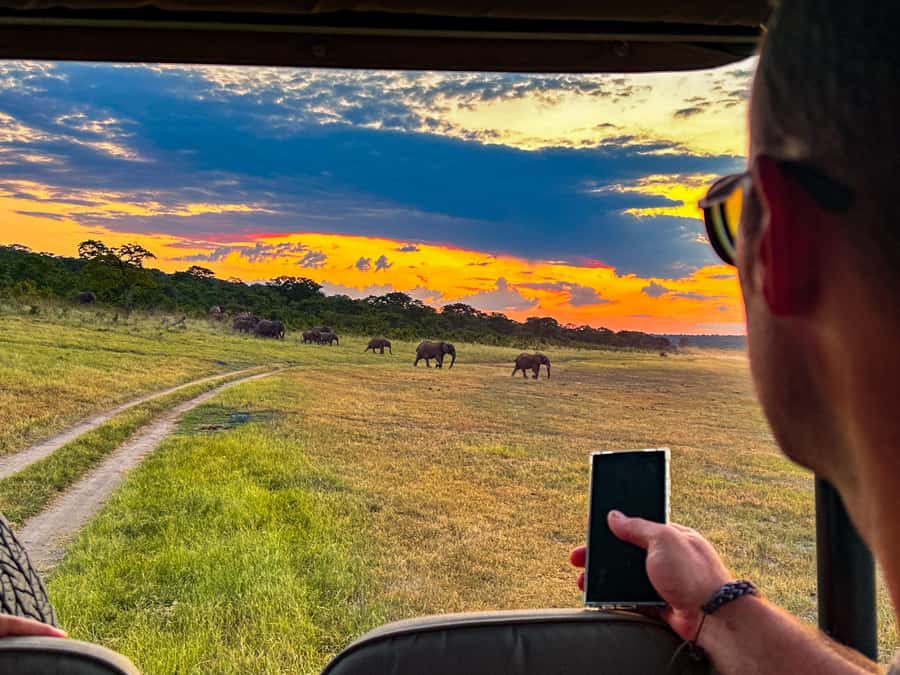 Victoria Falls: Night Game Drive Zambezi National Park - Pickup from Victoria Falls and the move into the bush
