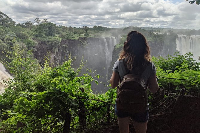 Victoria Falls: Private Guided Tour of the Falls - What the Experience Does Best